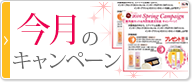 今月のキャンペーン
